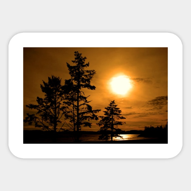 Sunset Long Beach Tofino Vancouver Island Canada Sticker by AndyEvansPhotos